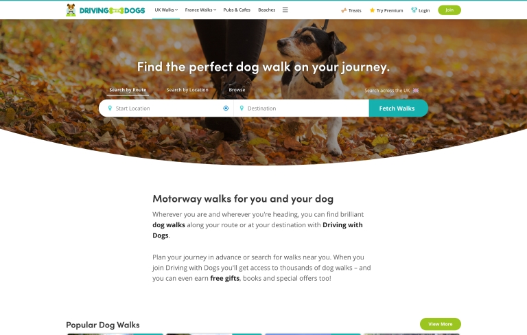 Screenshot of desktop device