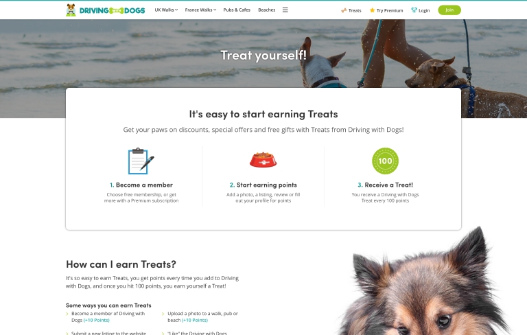 Screenshot of desktop device