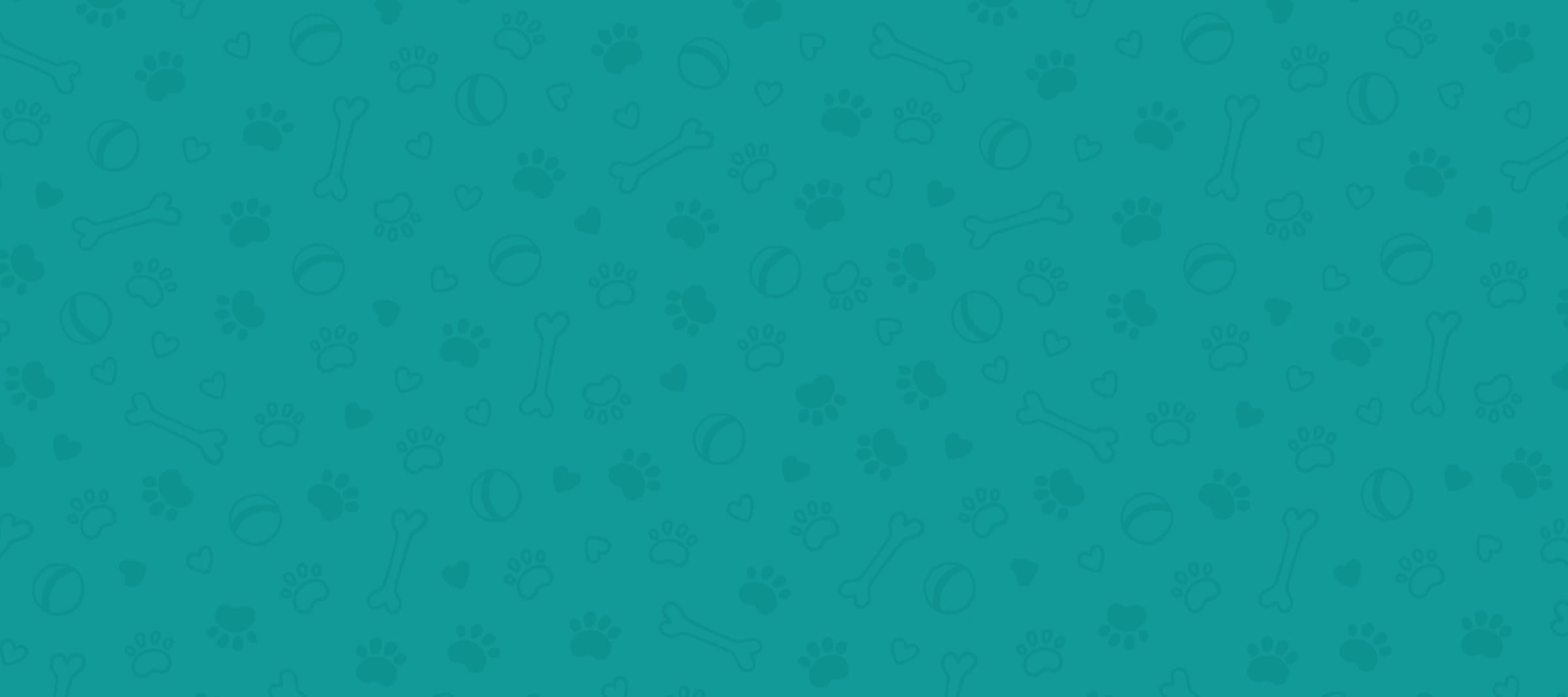 Driving with Dogs Case Study