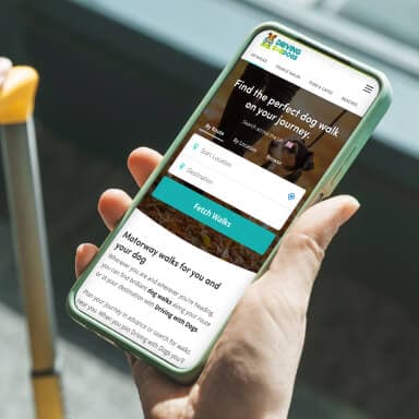 Driving with dogs website mockup