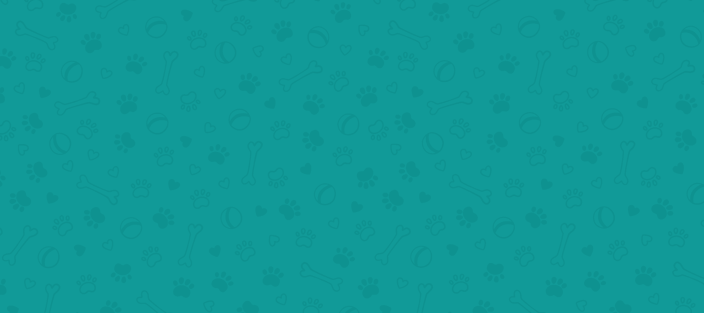 Driving with Dogs Case Study
