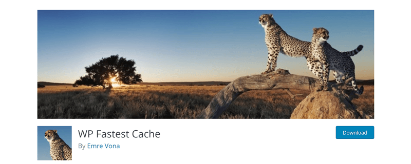 2_wp-fastest-cache-800w.png
